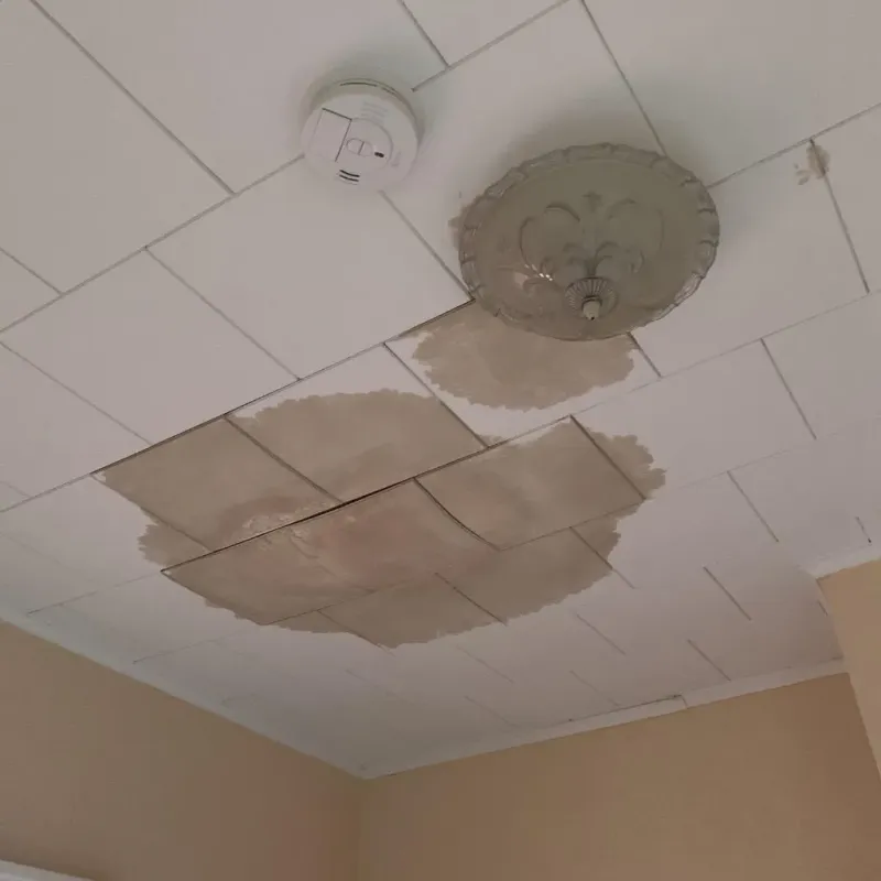 Ceiling Water Damage Repair in Cuming County, NE