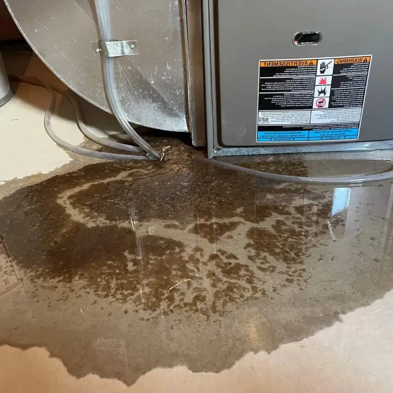 Pipe Burst and Leak Restoration in Cuming County, NE
