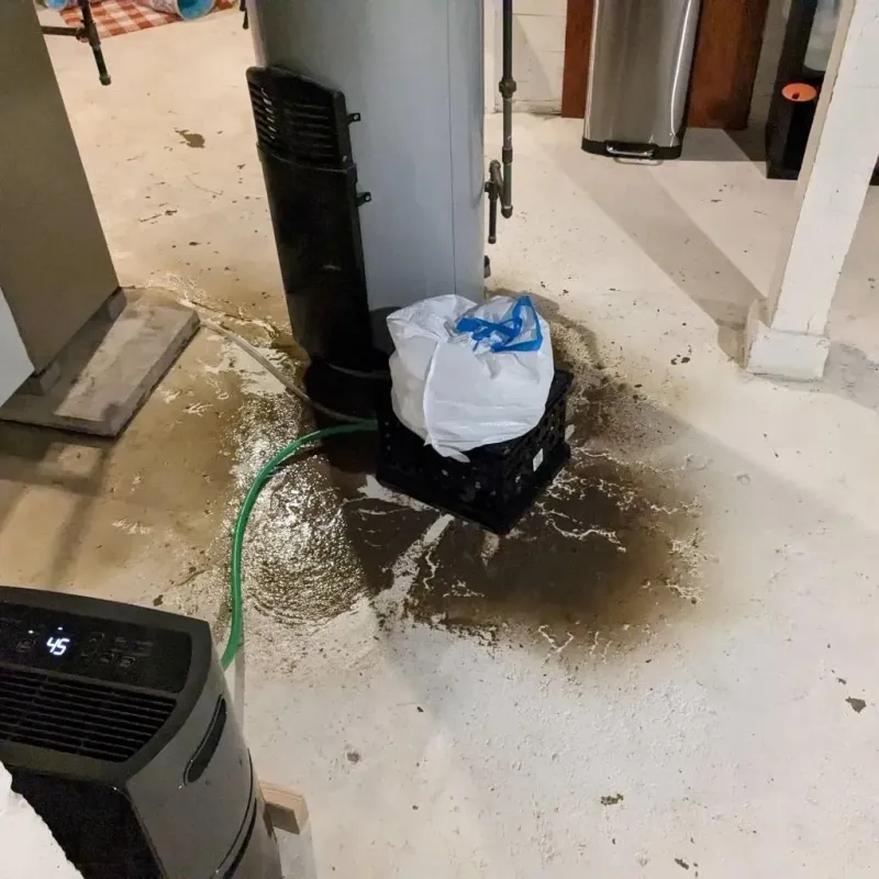Sewage Backup Cleanup Service in Cuming County, NE